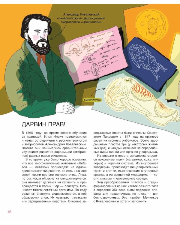 Мир биолога Мечникова: Как разглядеть в микроскоп целый мир