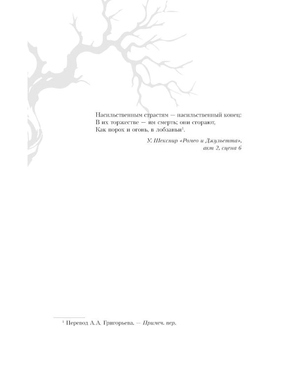 Дополнительное изображение книги «Новолуние»