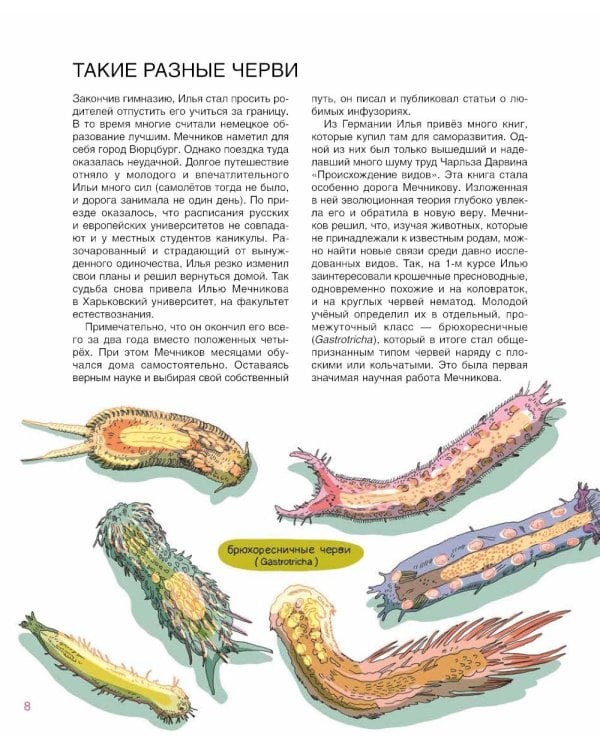 Мир биолога Мечникова: Как разглядеть в микроскоп целый мир