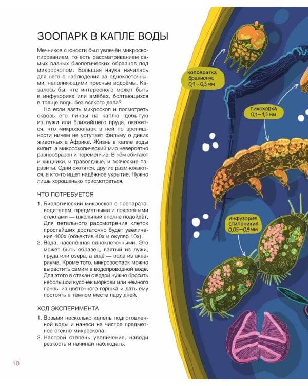 Мир биолога Мечникова: Как разглядеть в микроскоп целый мир