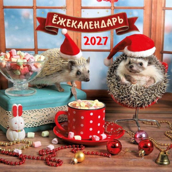 Обложка книги «Ежекалендарь. Какао с маршмеллоу. Календарь настенный на 2027 год» — None, ISBN 9785042399558