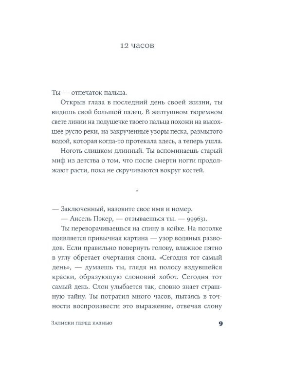 Записки перед казнью: роман