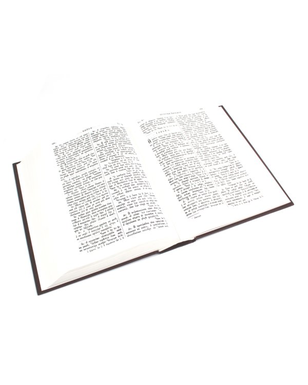 Библия. Книги Священного Писания Ветхого и Нового Завета на церковнославянском языке с параллельными местами. (коричневая)