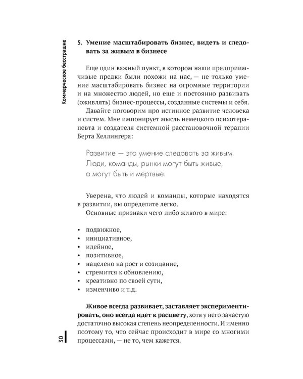 Коммерческое бесстрашие. Мыслить так, чтобы достигать больших целей