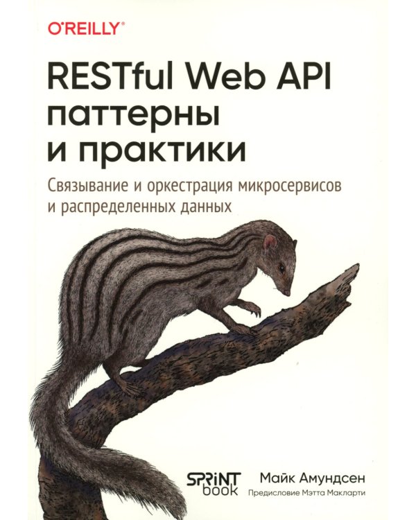 RESTful Web API паттерны и практики