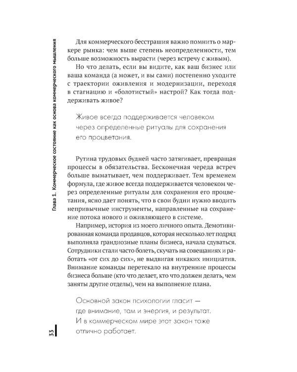 Коммерческое бесстрашие. Мыслить так, чтобы достигать больших целей