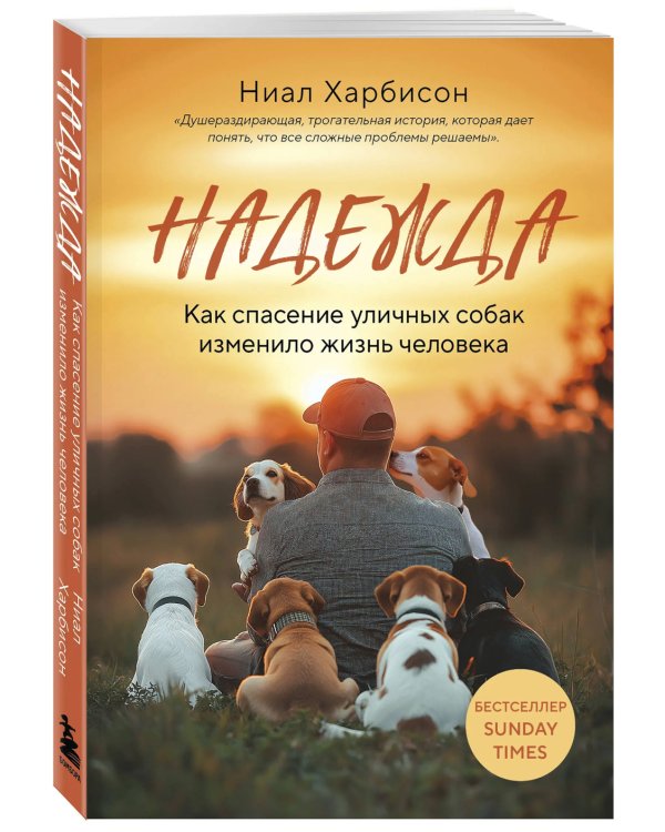 Надежда. Как спасение уличных собак изменило жизнь человека
