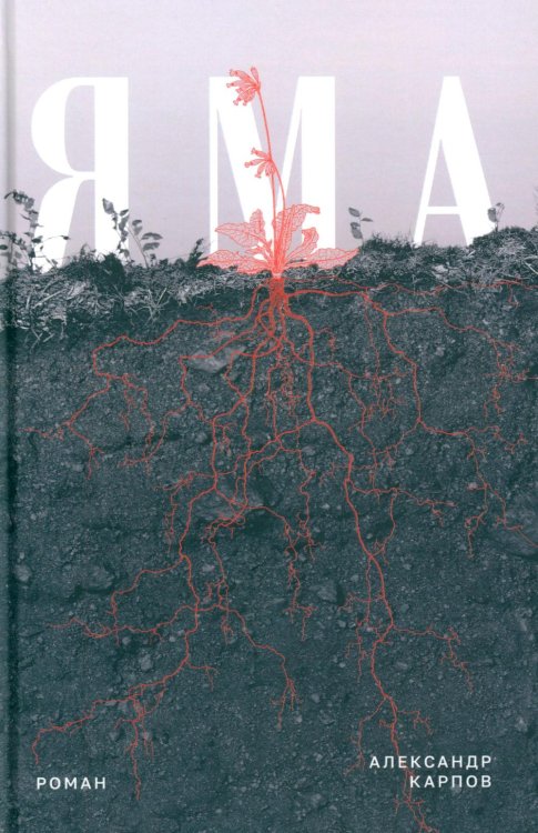 Яма: роман
