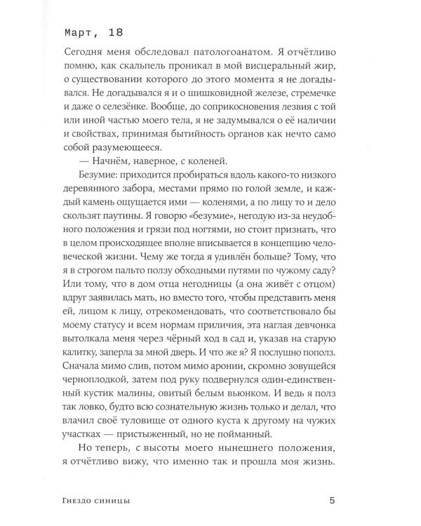 Гнездо синицы: роман