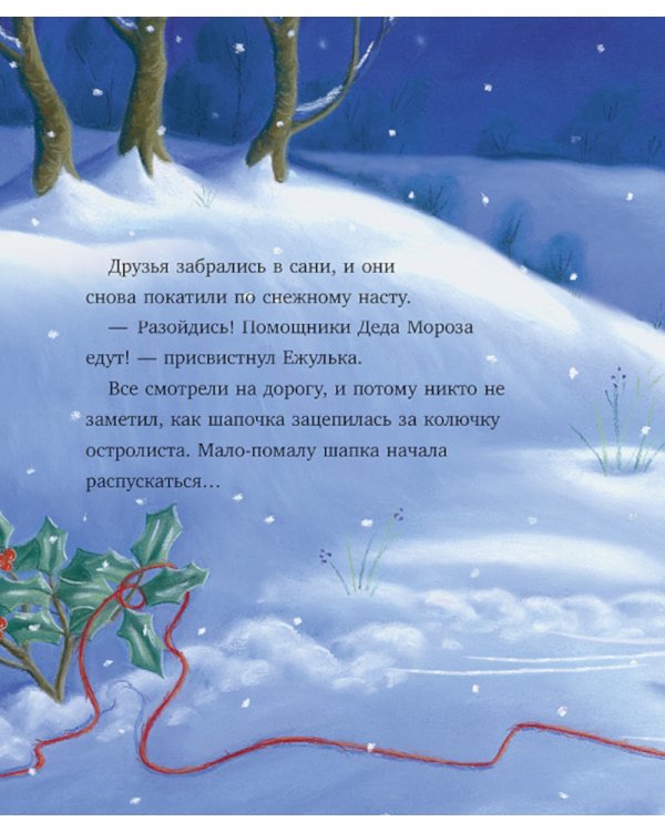 Дополнительное изображение книги «Как Ежулька и его друзья помогли Деду Морозу»