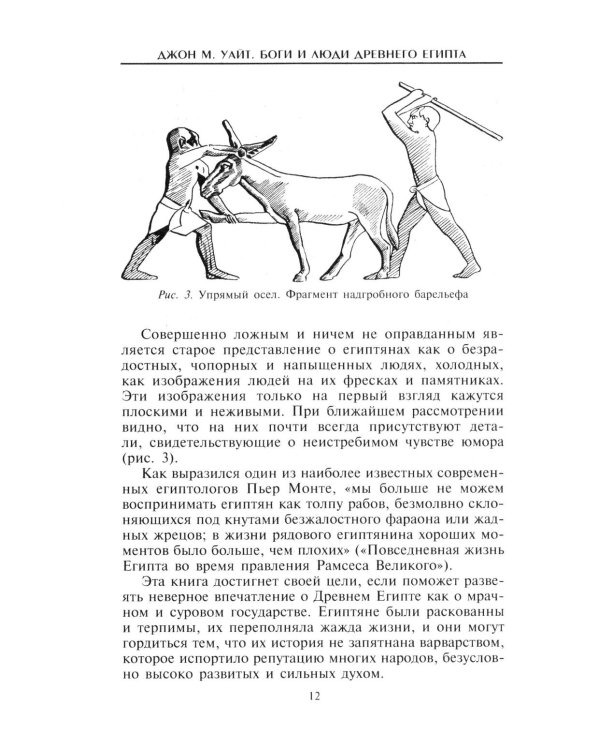 Боги и люди Древнего Египта