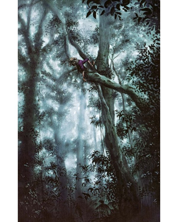 Книга сказок