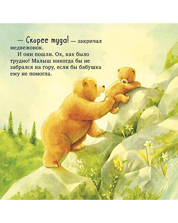 Самая лучшая бабушка на свете