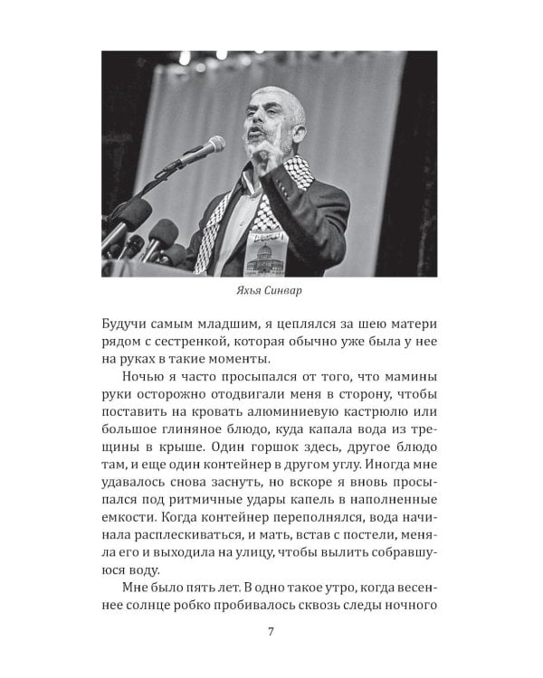 Как победить Израиль. Шипы и розы Ближнего Востока