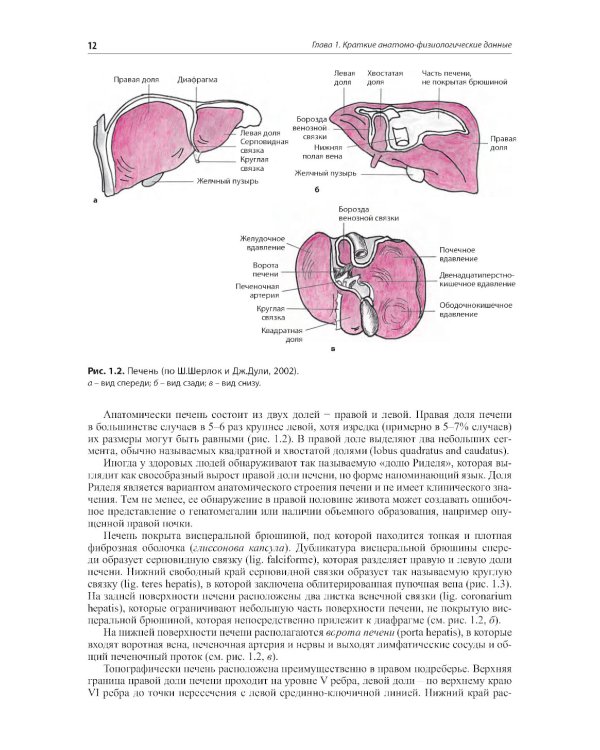 Внутренние болезни. Печень, желчевыводящие пути, поджелудочная железа: Учебное пособие. 5-е изд