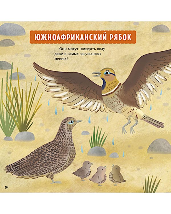 Мой папа - супергерой!