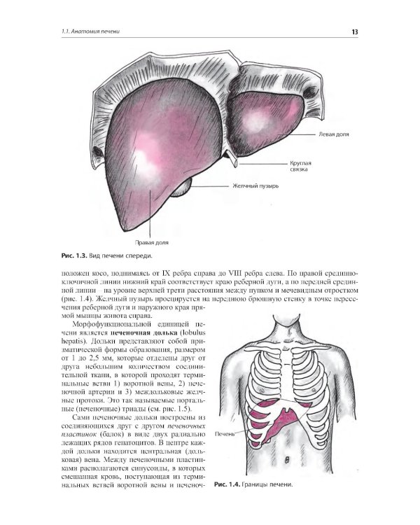Внутренние болезни. Печень, желчевыводящие пути, поджелудочная железа: Учебное пособие. 5-е изд