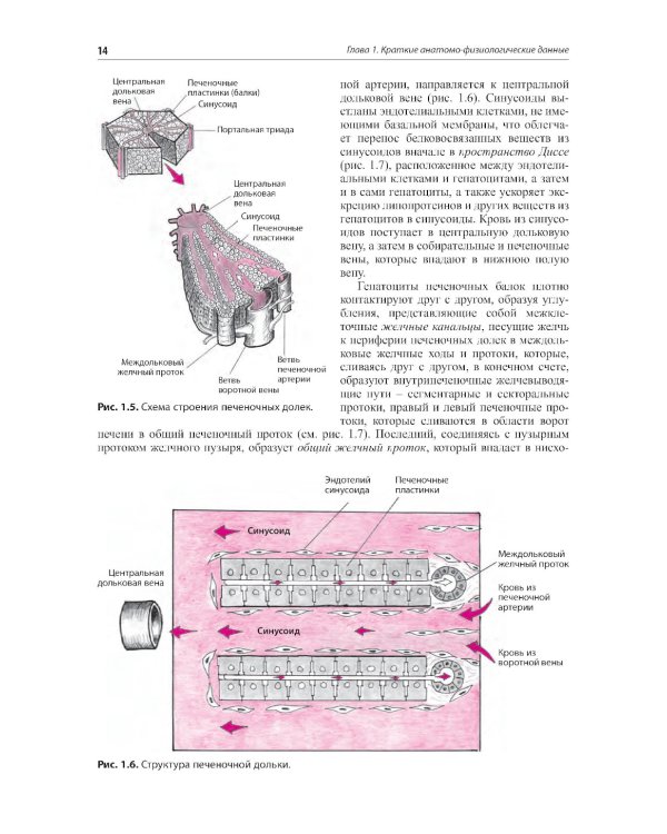 Внутренние болезни. Печень, желчевыводящие пути, поджелудочная железа: Учебное пособие. 5-е изд