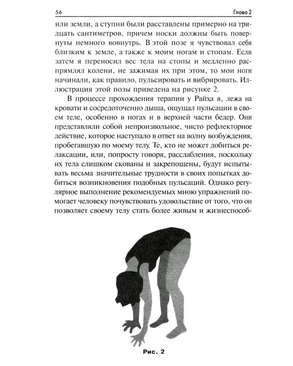 Радость. Как наполнить тело энергией, а жизнь счастьем