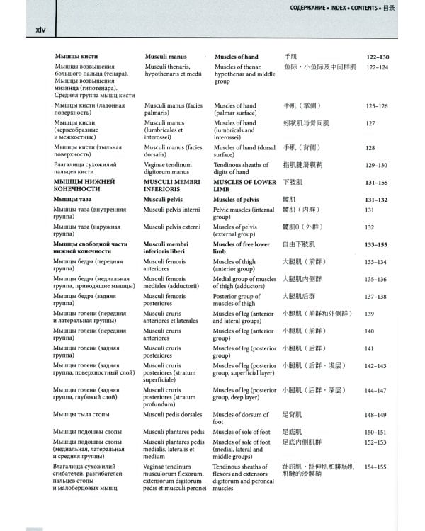 Мультилингвальный атлас анатомии человека. Т. 1: Учебно-наглядное пособие