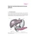 Внутренние болезни. Печень, желчевыводящие пути, поджелудочная железа: Учебное пособие. 5-е изд