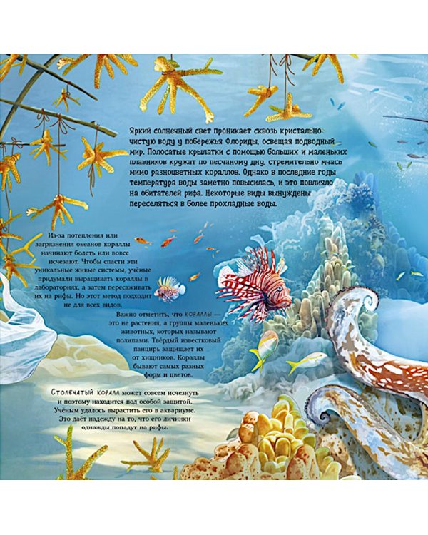 Что скрывает природа?