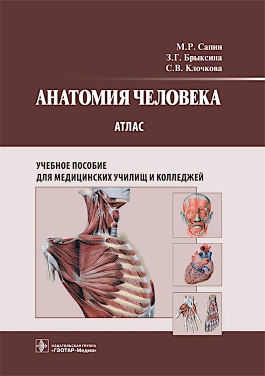 Анатомия человека: атлас: Учебное пособие Анатомия человека: атлас: Учебное пособие