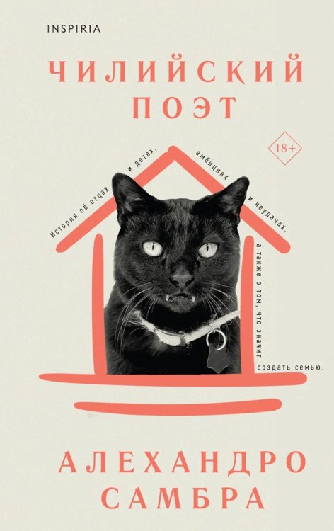 Чилийский поэт Чилийский поэт