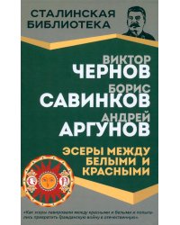 Эсеры между белыми и красными