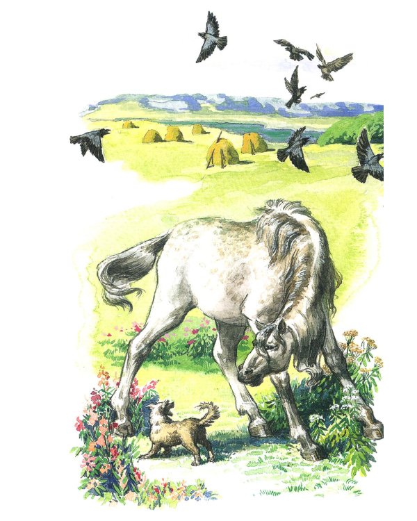 Про Мальку: из "Рассказов о всякой живности"