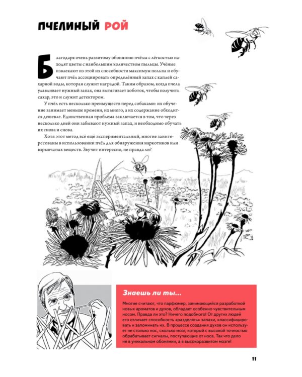 Детектив Интригулис и похищение Мими