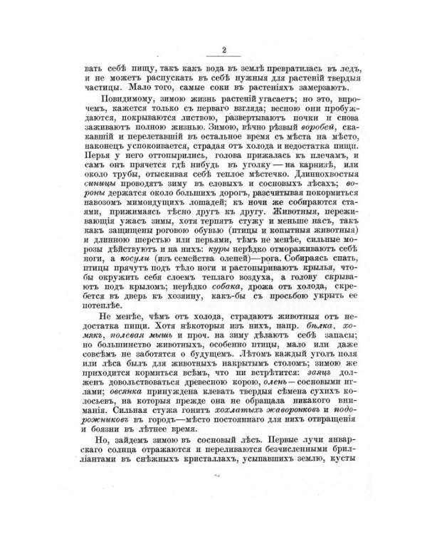 Двенадцать месяцев