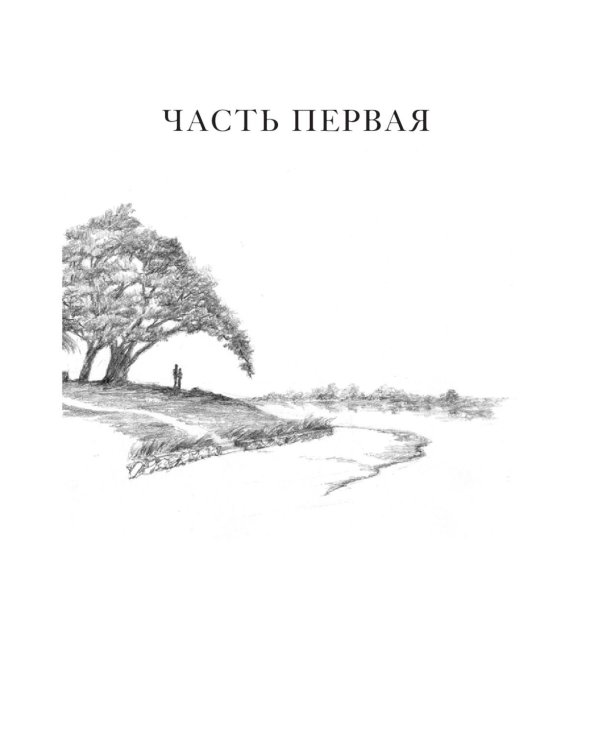 Завет воды; Рассечение Стоуна (комплект из 2-х книг)