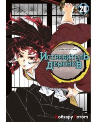 Истребитель демонов. Т. 20: Путь, что прокладывается убеждениями: манга
