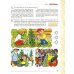 Развиваем связную речь у детей 5-6 лет с ОНР. Альбом 1. Мир растений