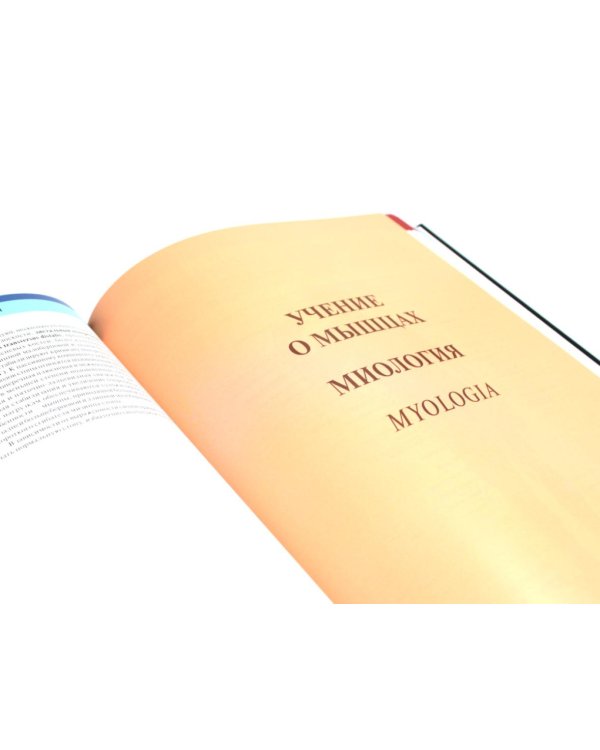 Атлас анатомии человека: В 3 т. Комплект