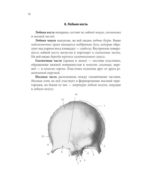 Тетрадь-шпаргалка по анатомии