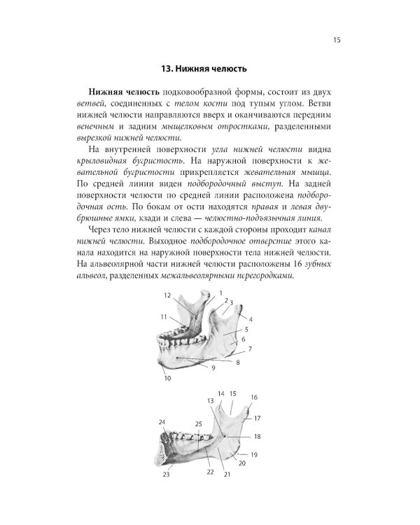 Тетрадь-шпаргалка по анатомии