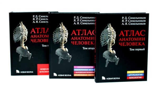Атлас анатомии человека: В 3 т. Комплект