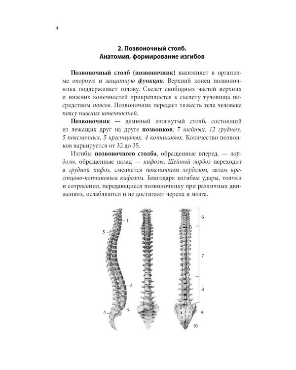 Тетрадь-шпаргалка по анатомии