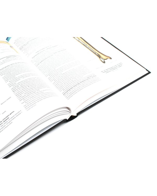 Атлас анатомии человека: В 3 т. Комплект