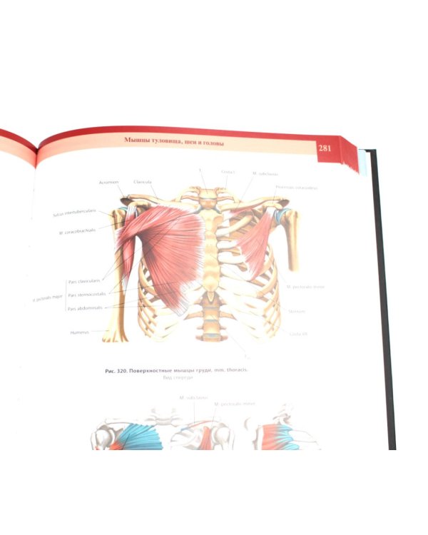 Атлас анатомии человека: В 3 т. Комплект
