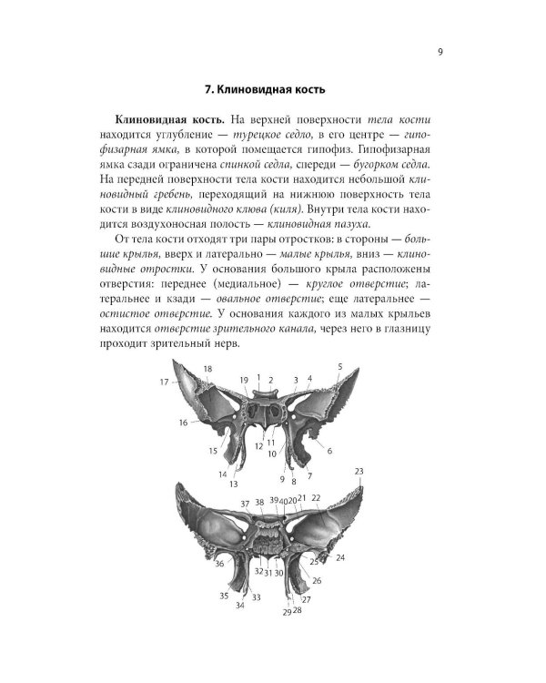 Тетрадь-шпаргалка по анатомии