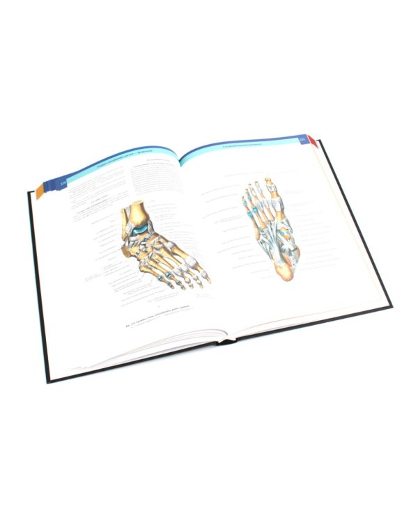 Атлас анатомии человека: В 3 т. Комплект