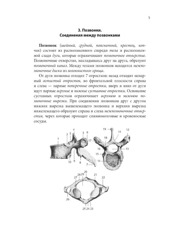 Тетрадь-шпаргалка по анатомии