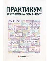 Практикум по бухгалтерскому учету и анализу. 4-е изд. перераб. и доп