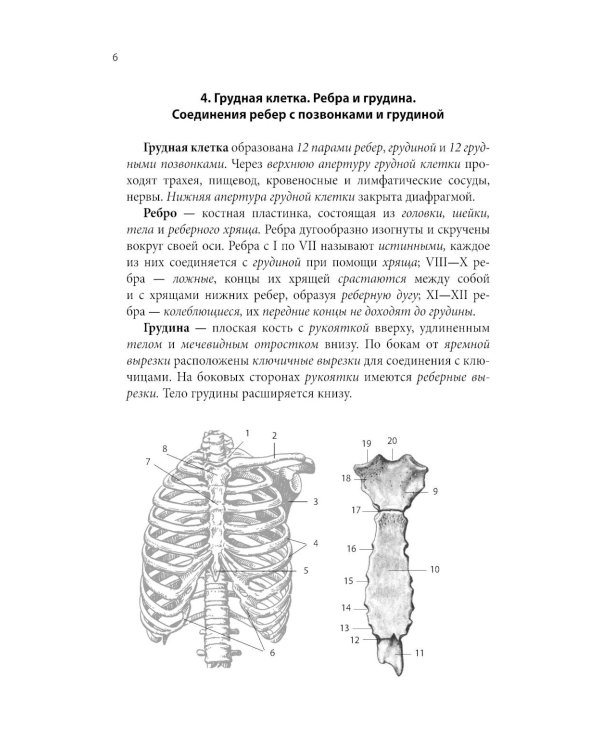 Тетрадь-шпаргалка по анатомии