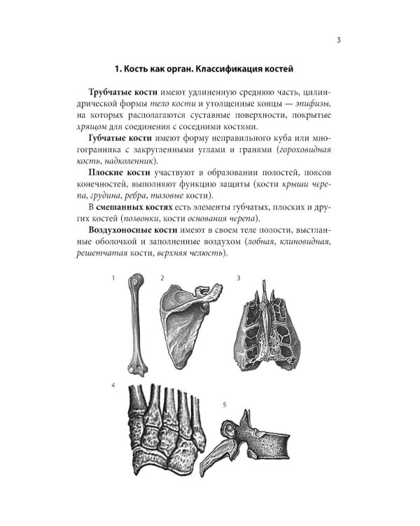 Тетрадь-шпаргалка по анатомии