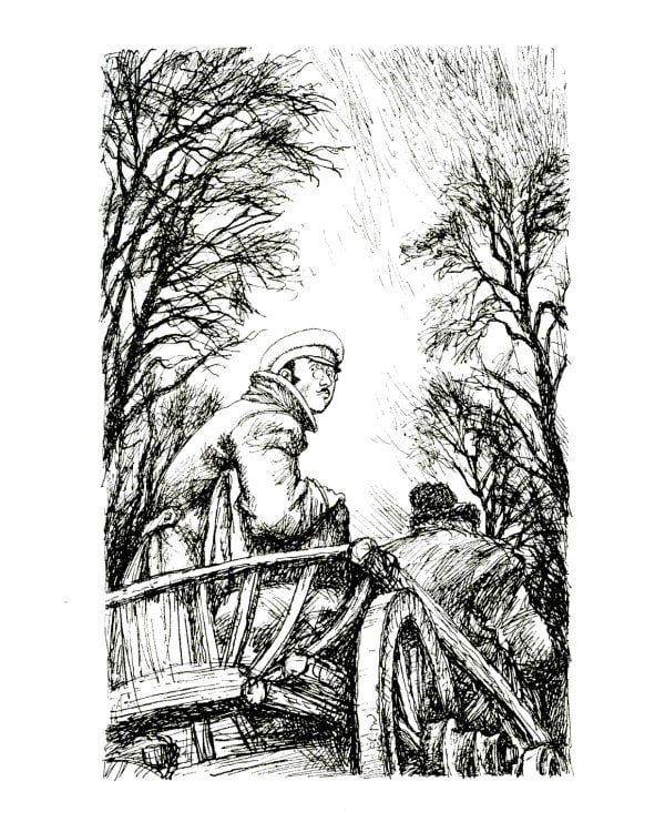 Лошадиная фамилия: рассказы и водевили