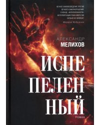 Испепеленный: роман